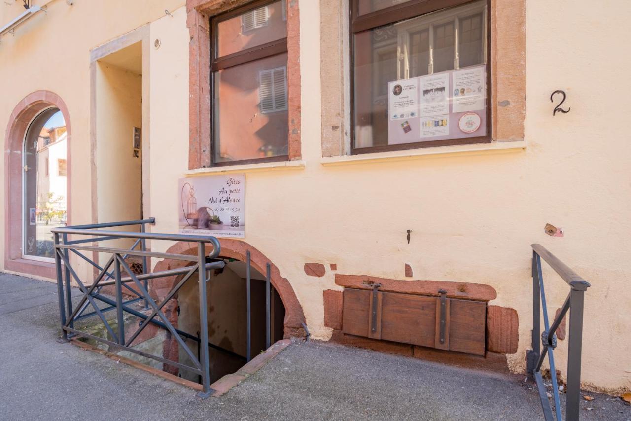 Gite Le Caveau Selestat - 30Min Europapark Exterior foto